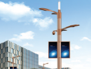 智慧路灯ZH2053 智慧路灯ZH2053